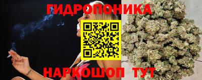 apvp Краснодар