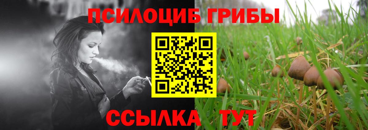 Казань  где купить наркоту  Вход с VPN  Псилоцибиновые грибы прущие грибы  Галлюциногенные грибы ЛСД 